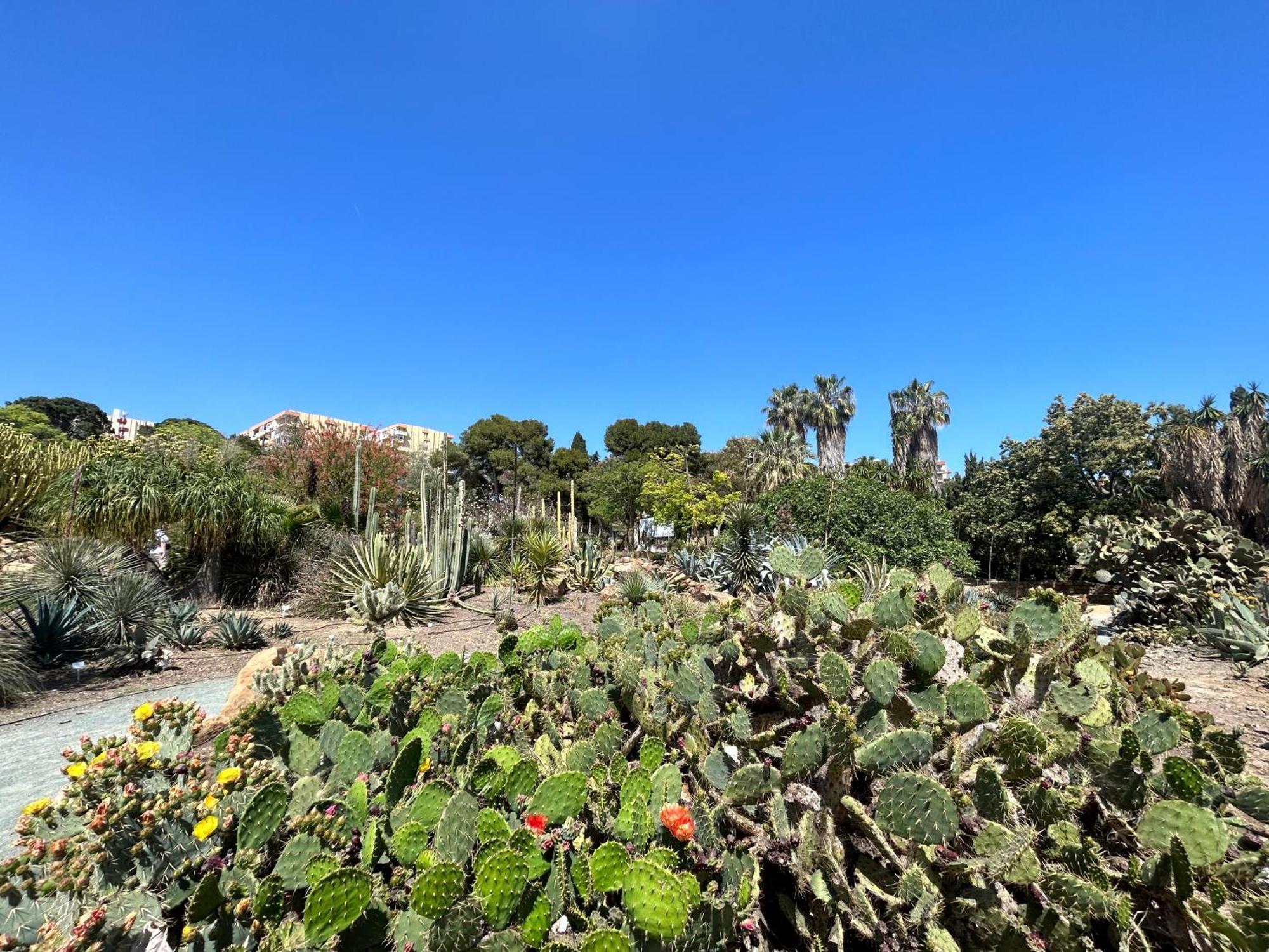 Acogedor Apartamento En Benalmadena Vistas Exteriör bild